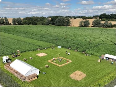 Lichfield Maize Maze